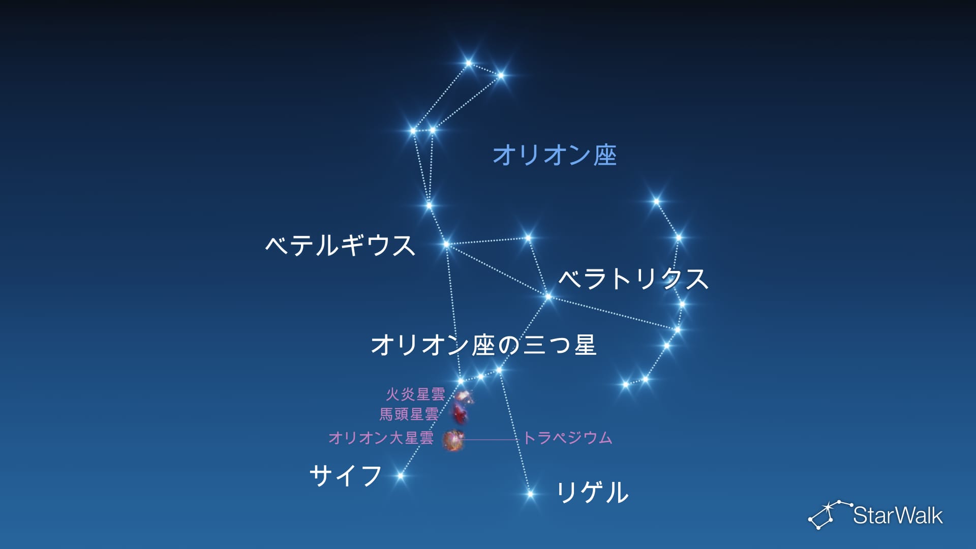 オリオン座：星と深空天体