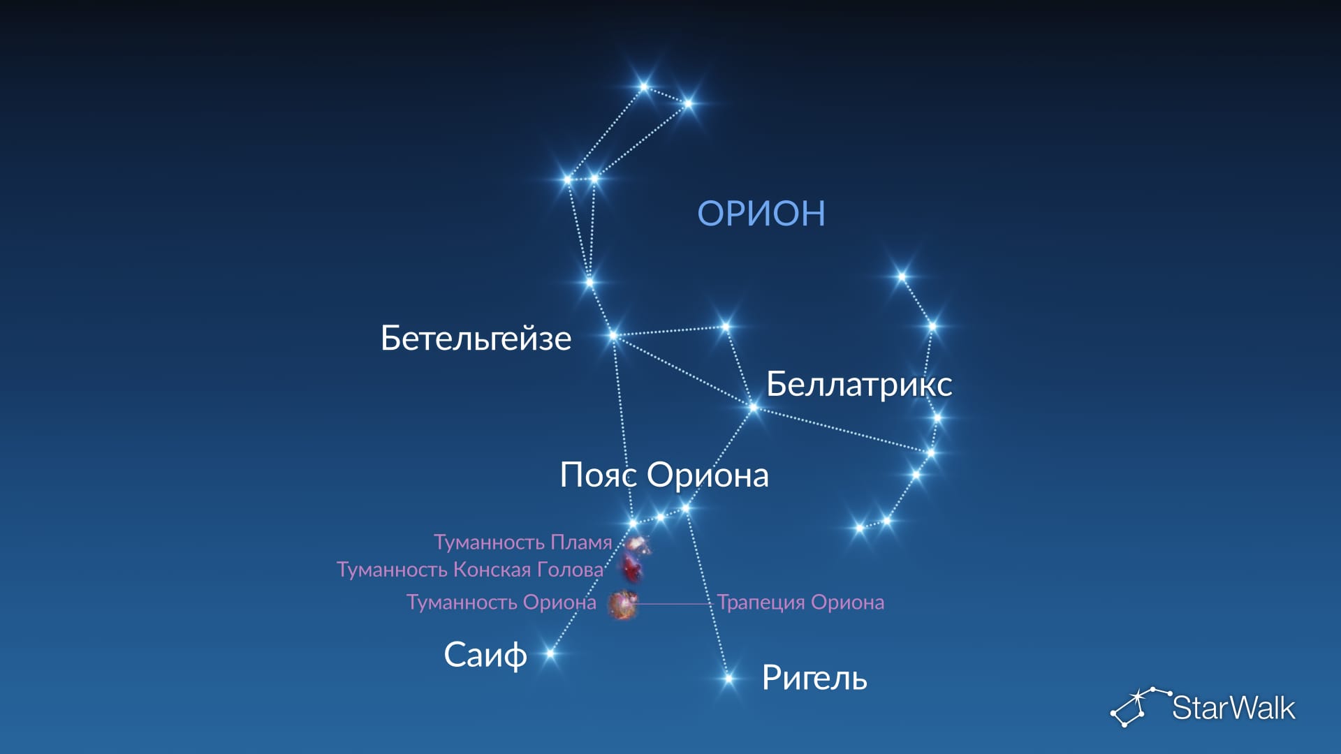 Созвездие Орион: звезды и объекты глубокого космоса