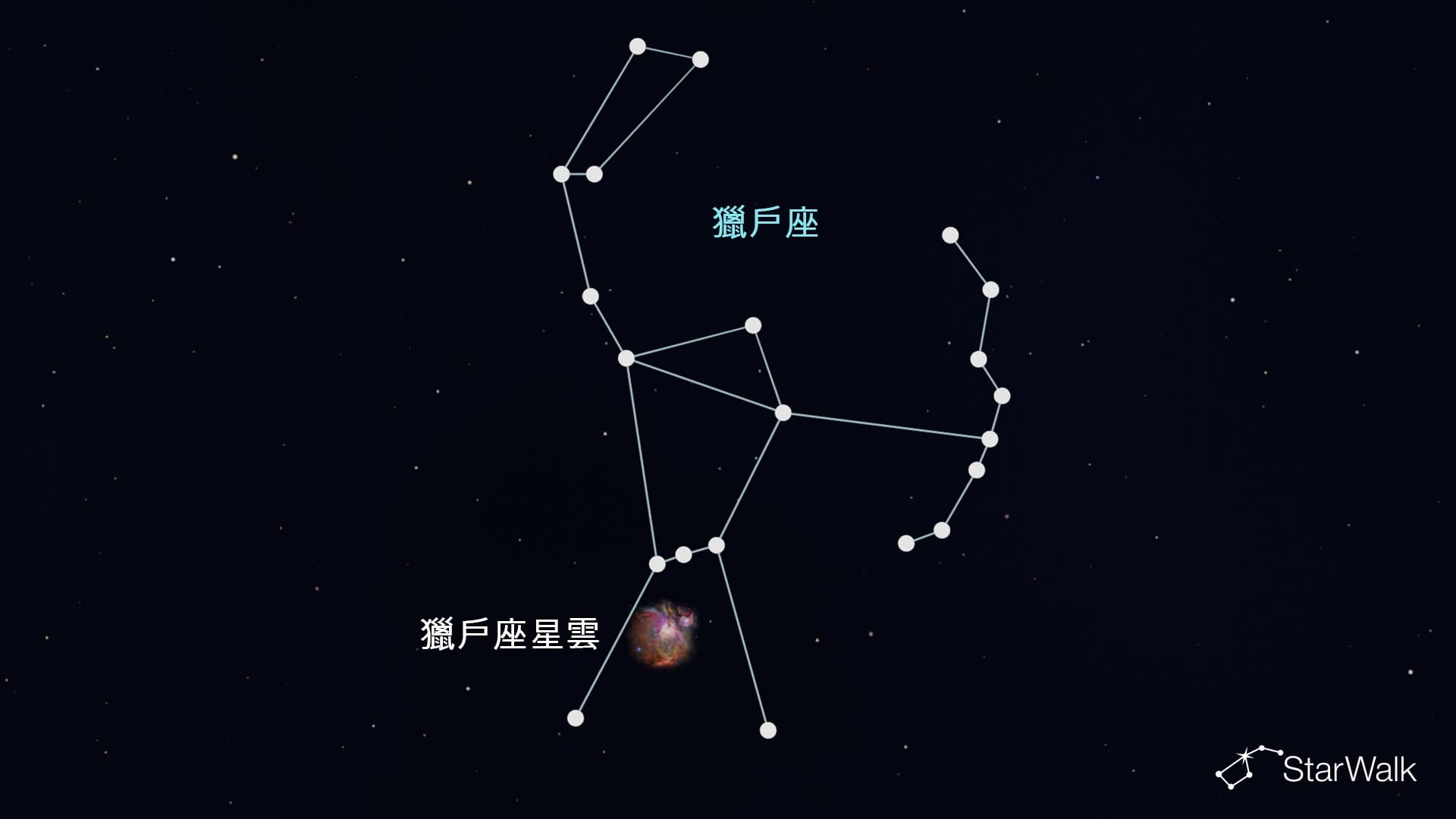 獵戶座中的獵戶座大星雲