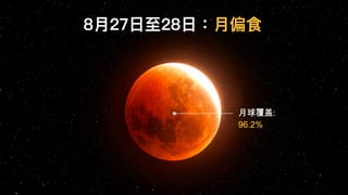 2026年8月月偏食