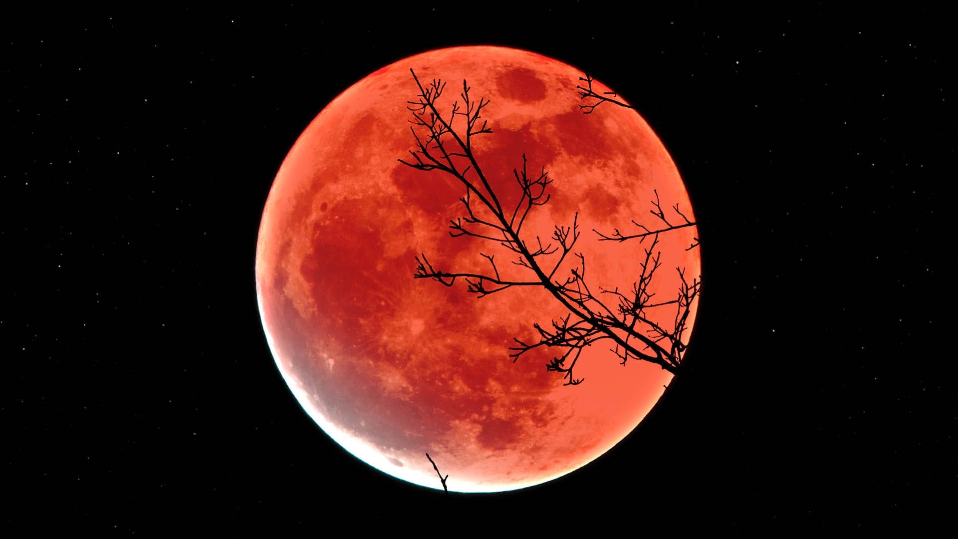 Pleine lune de novembre 2021 : éclipse lunaire partielle