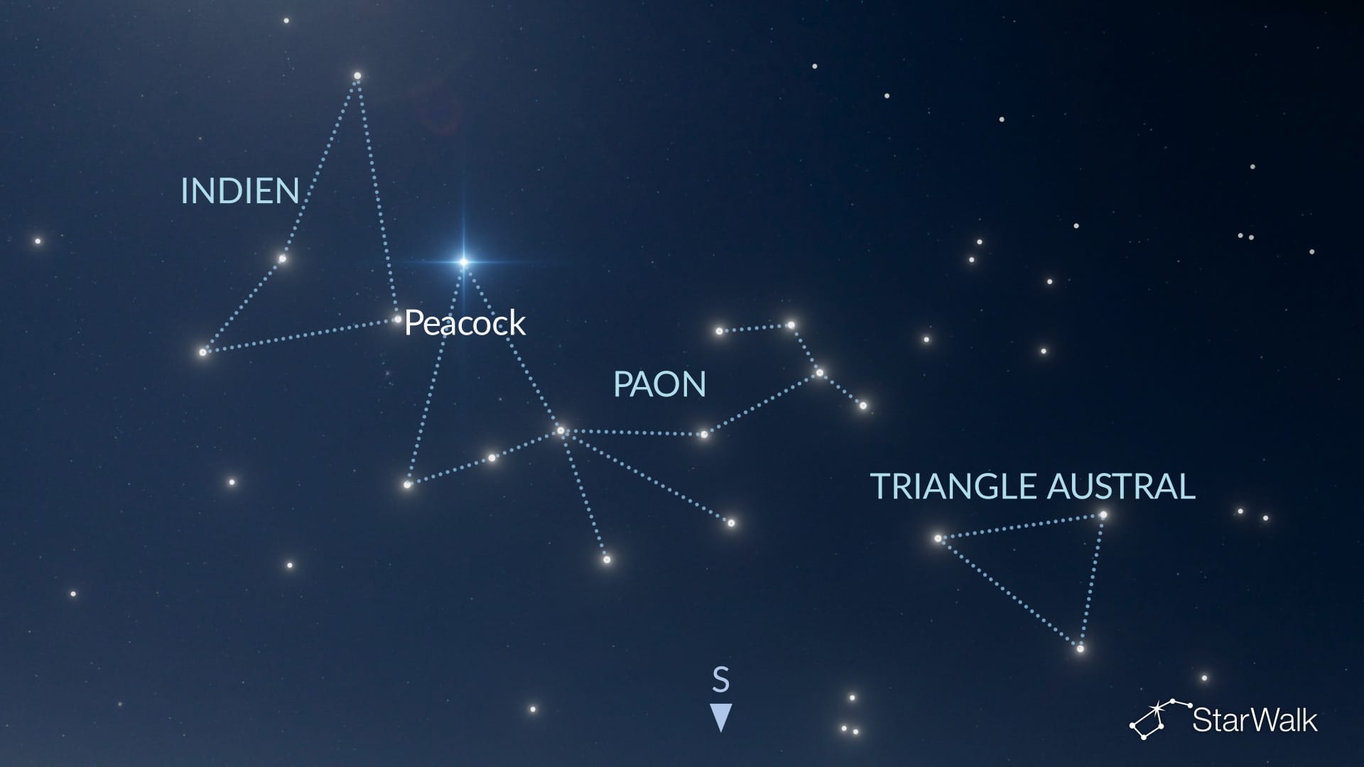 Comment trouver le Paon dans l’hémisphère Sud