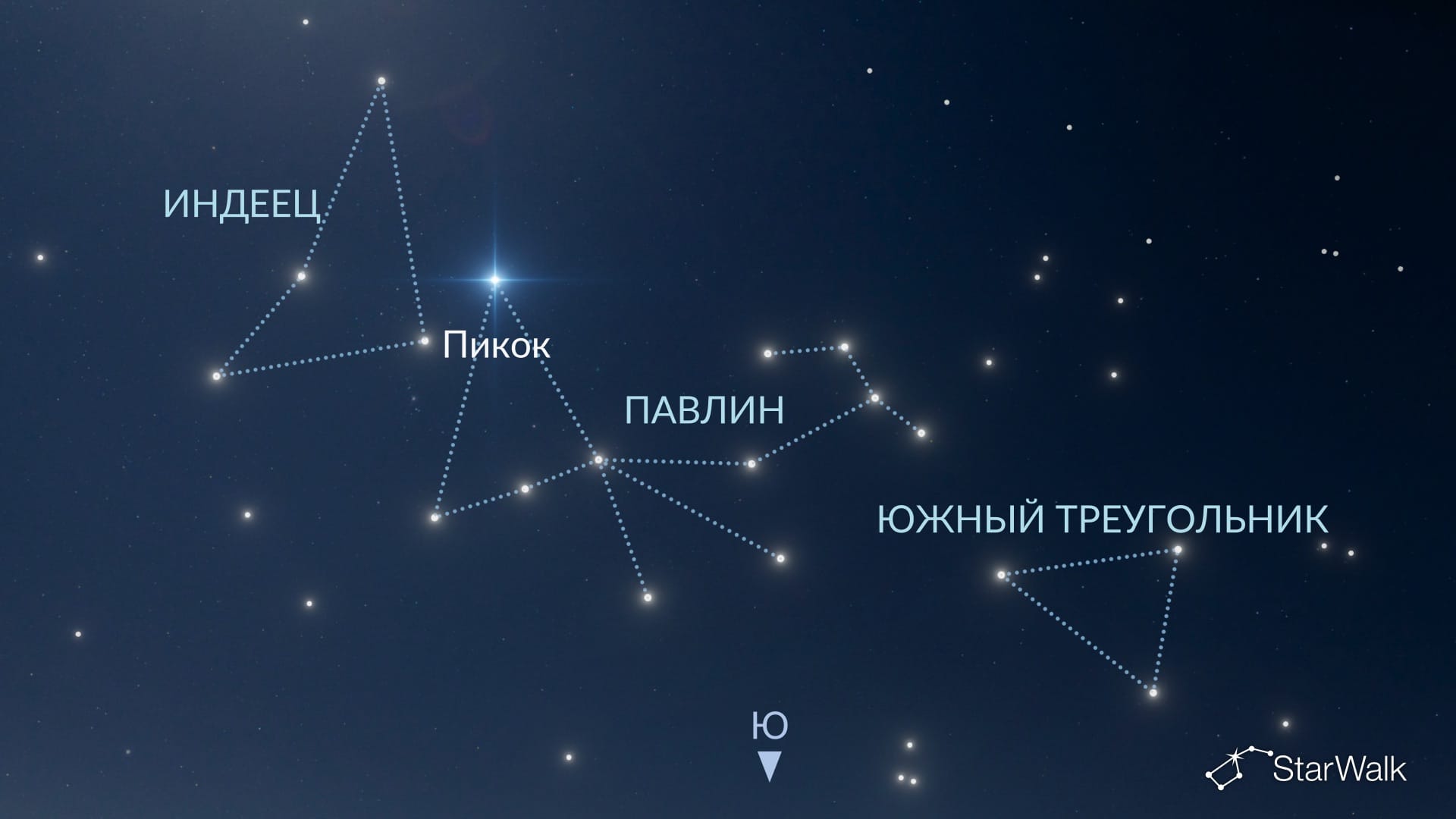 Как найти созвездие Павлин в Южном полушарии