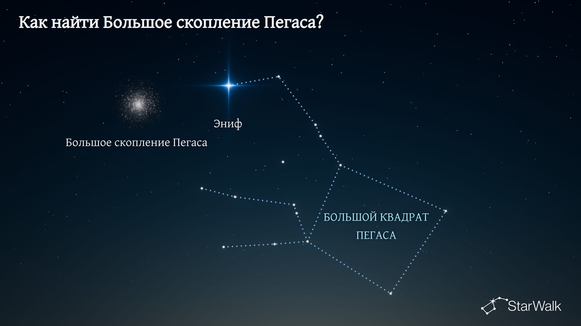 Большое скопление Пегаса — как найти