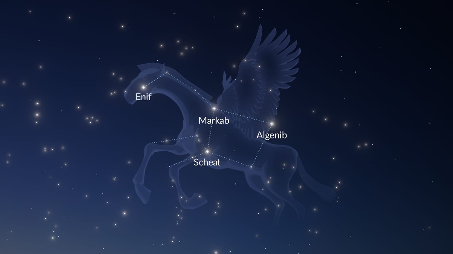Datos de la constelación de Pegaso | Estrellas de Pegaso | Qué es ...