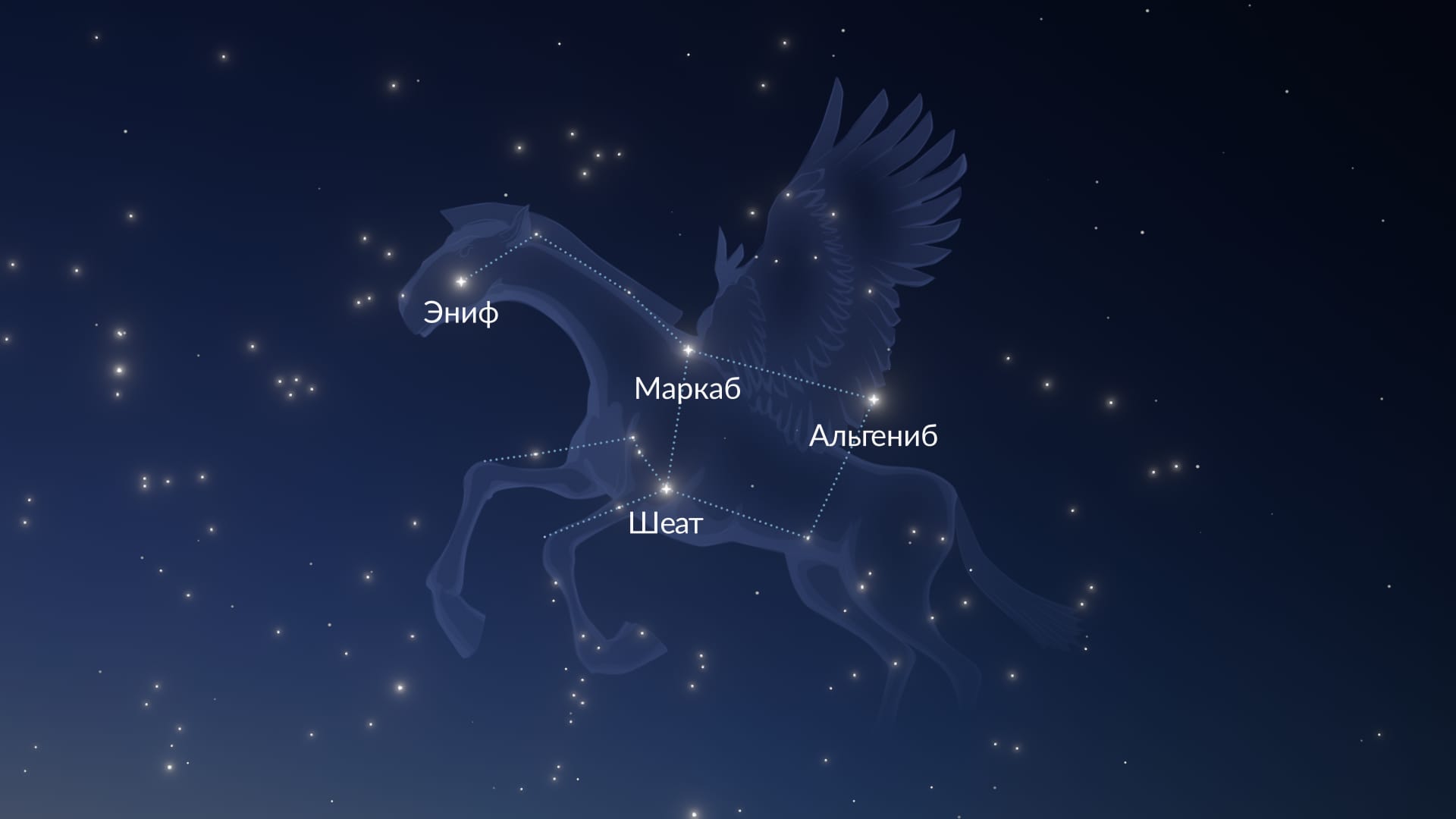 Самые яркие звезды в созвездии Пегаса