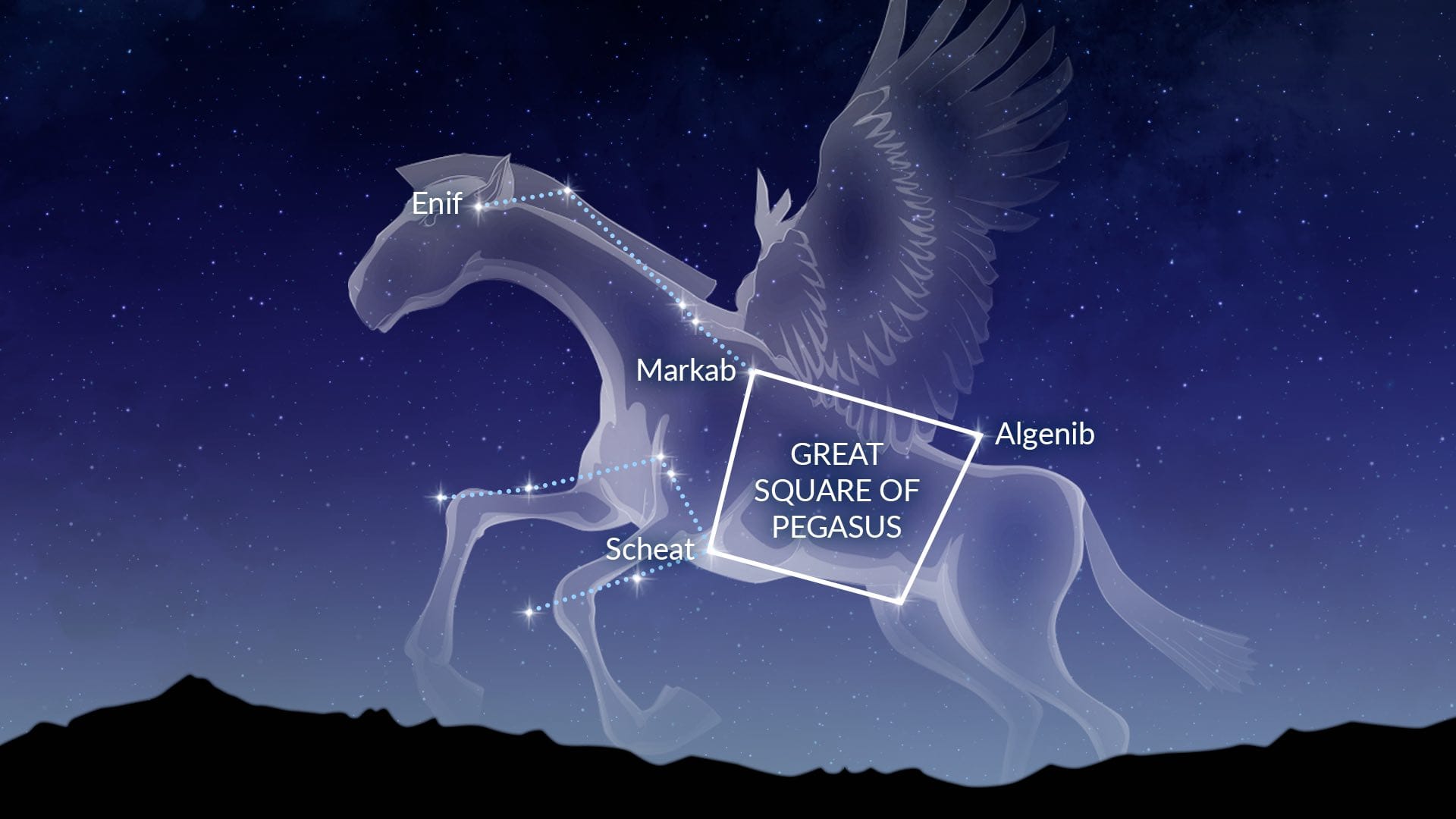 Pegasus constellation