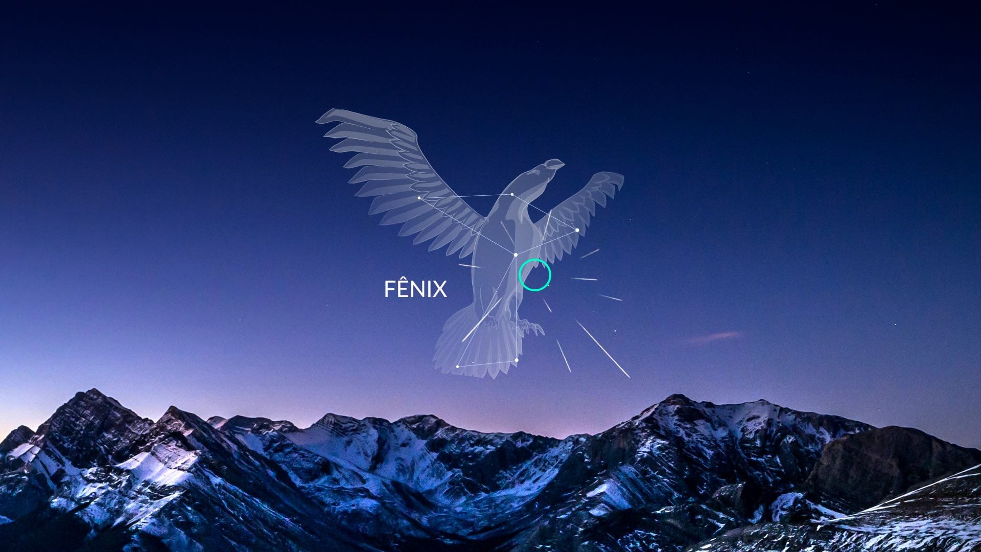 Phoenicids’ radiant