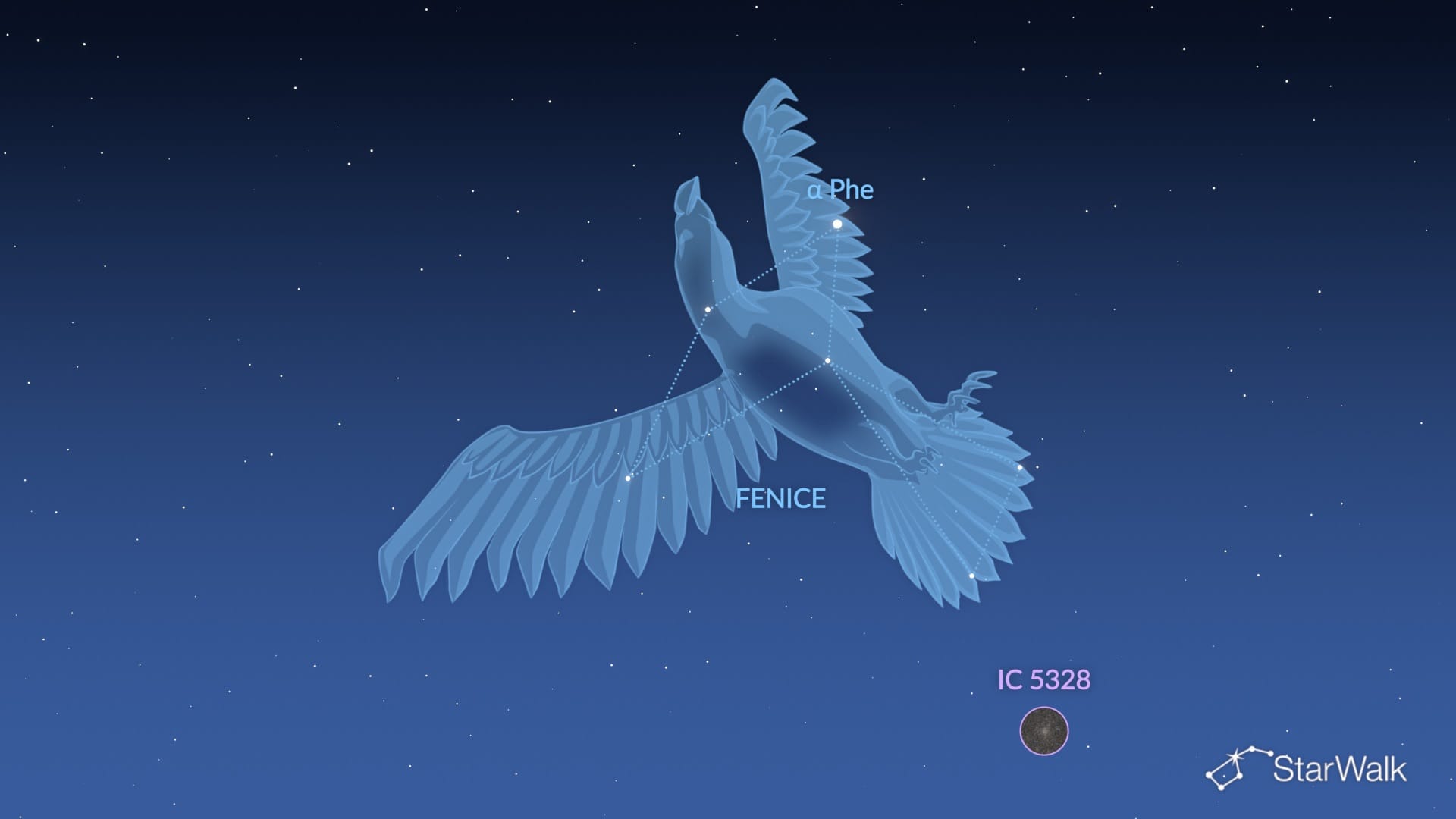 Phoenix