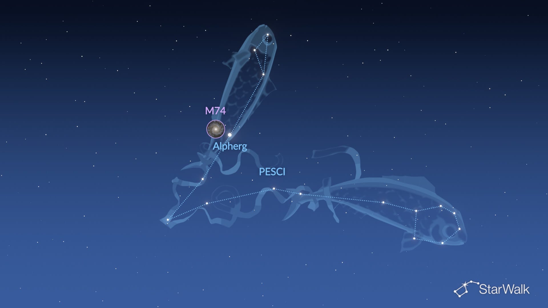 Pisces