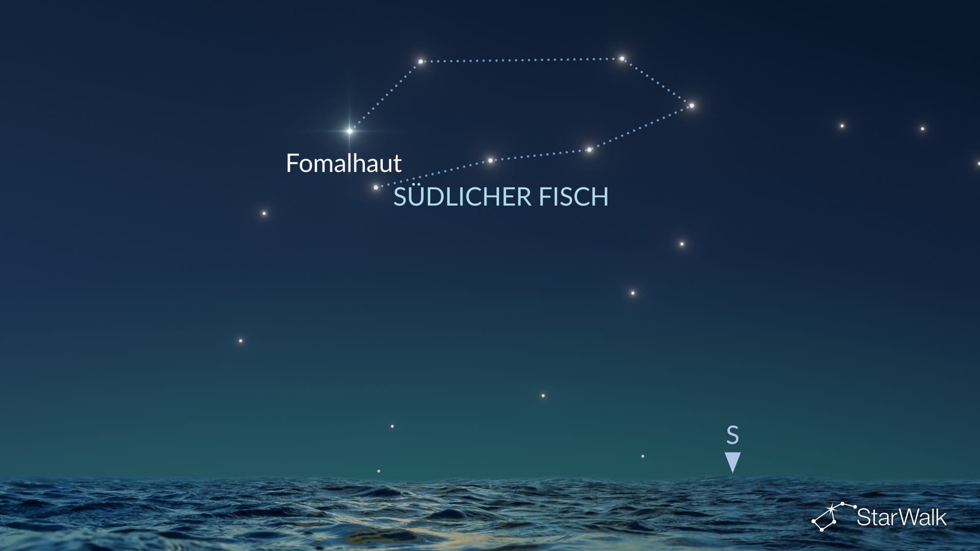 So finden Sie den Südlichen Fisch auf der Nordhalbkugel