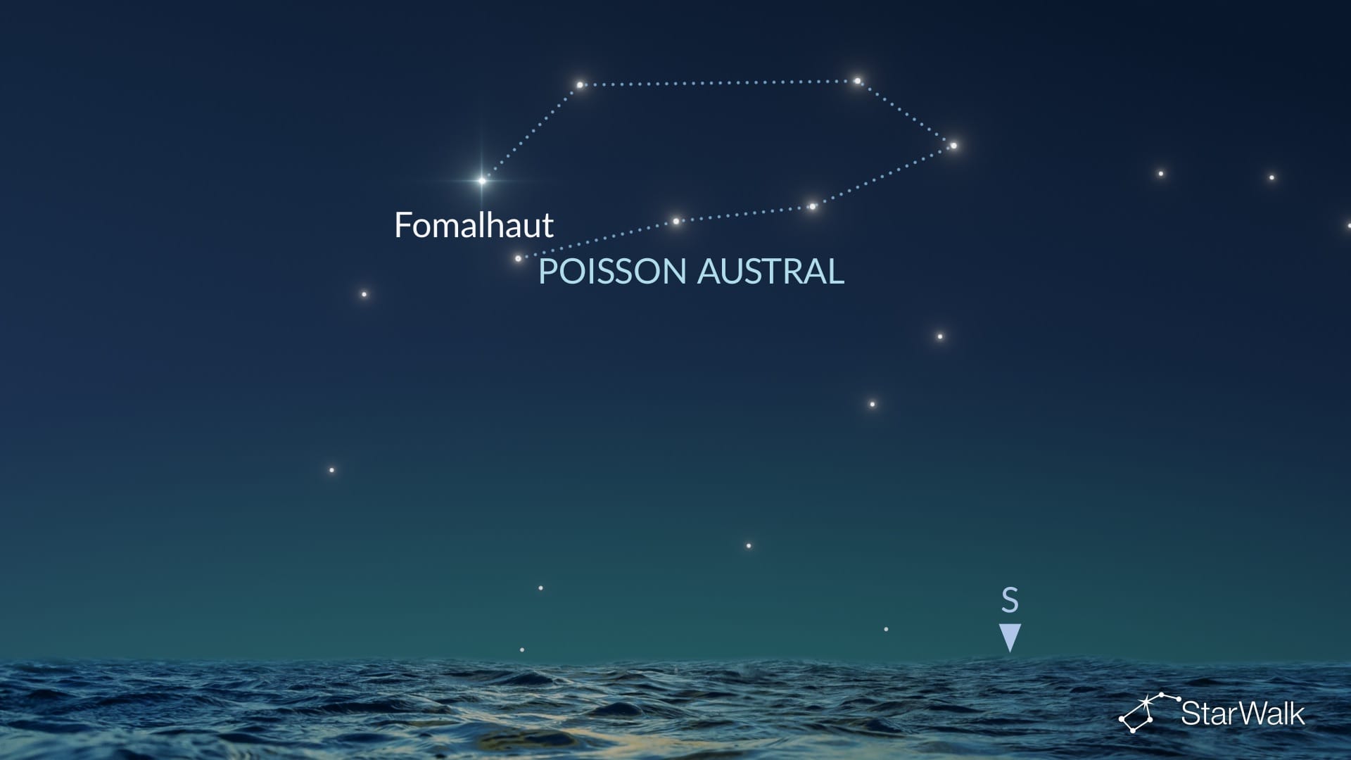 Comment trouver le Poisson austral dans l’hémisphère Nord