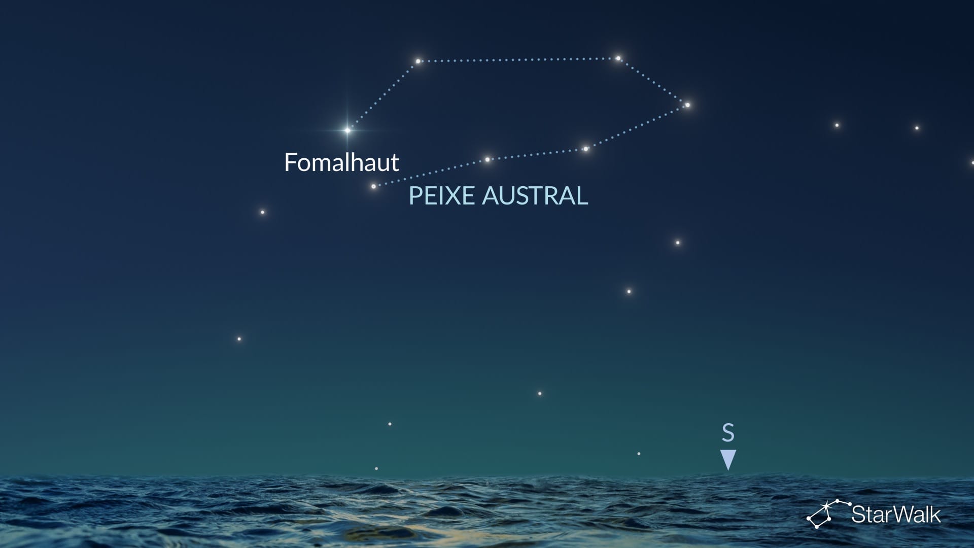 Como encontrar o Peixe Austral no Hemisfério Norte