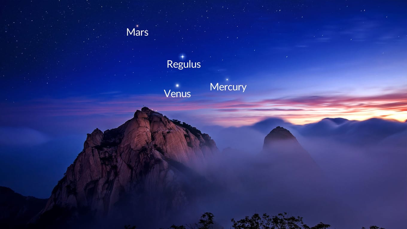 Alignment 2023 Mars, Venus Aligned 2023