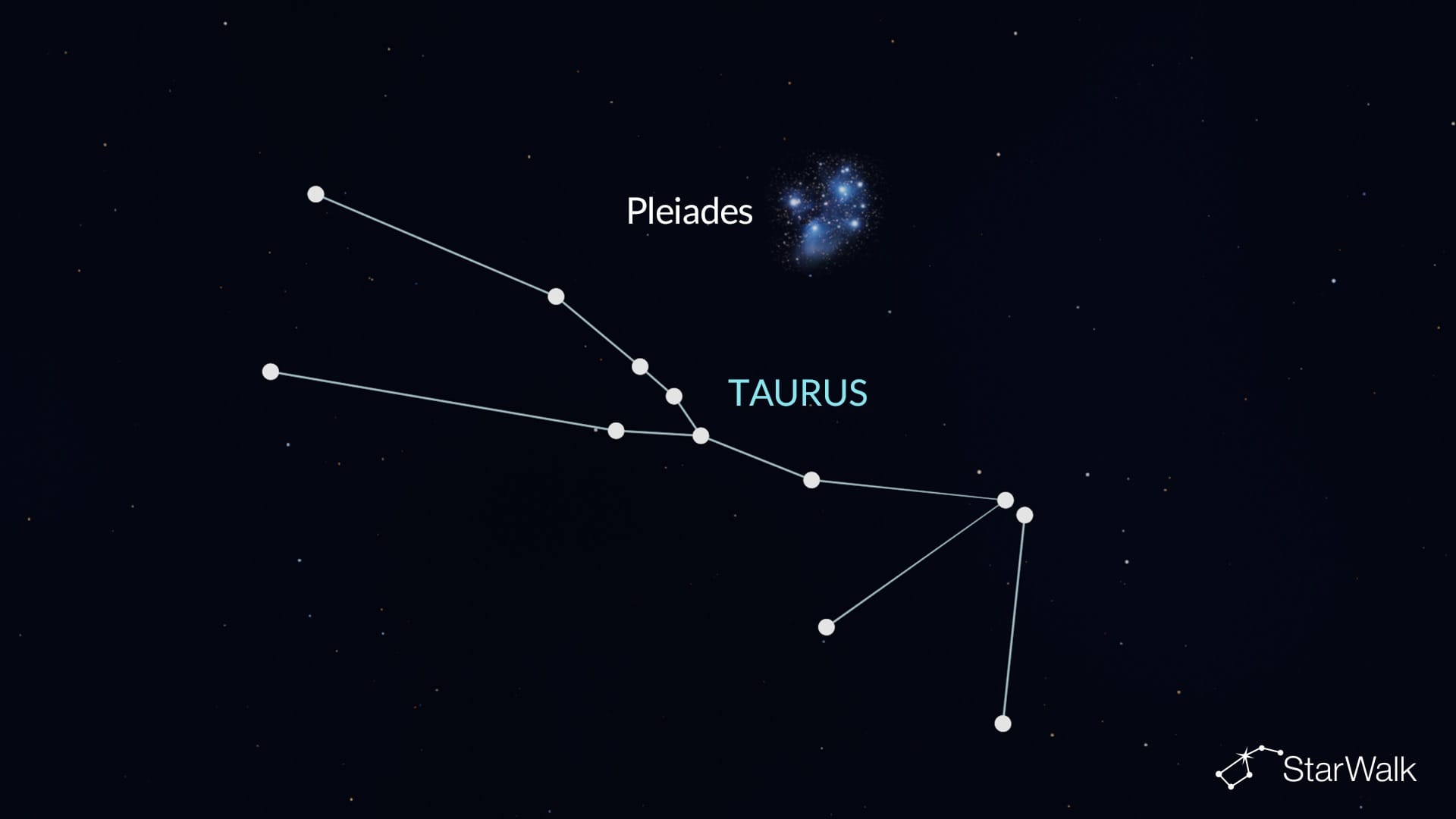 Pleiades in Taurus