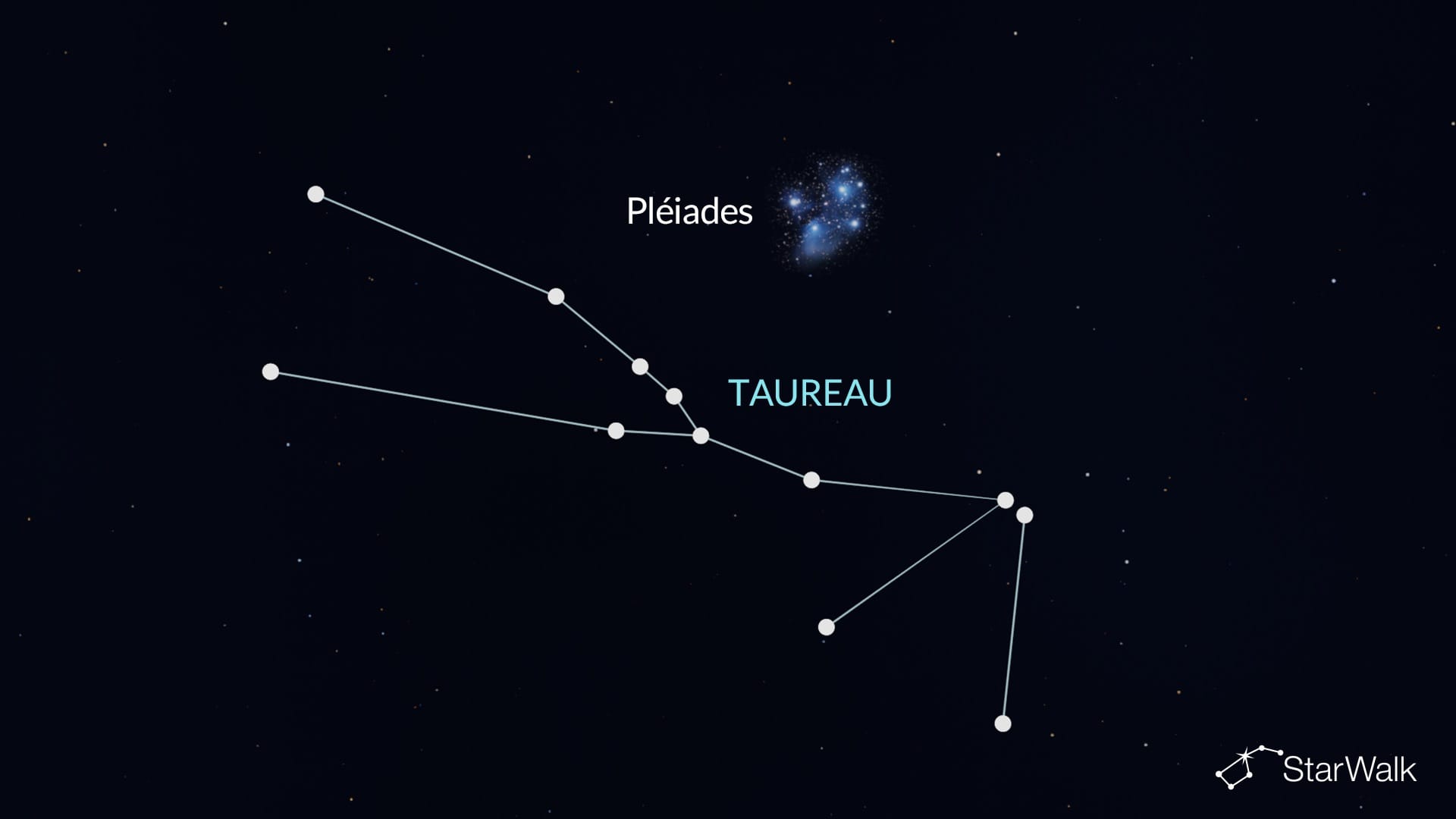 Pléiades dans le Taureau