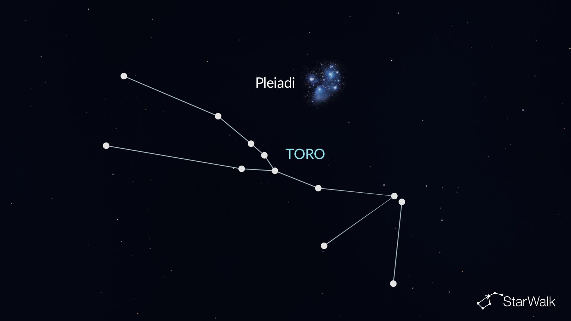 Pleiadi nel Toro