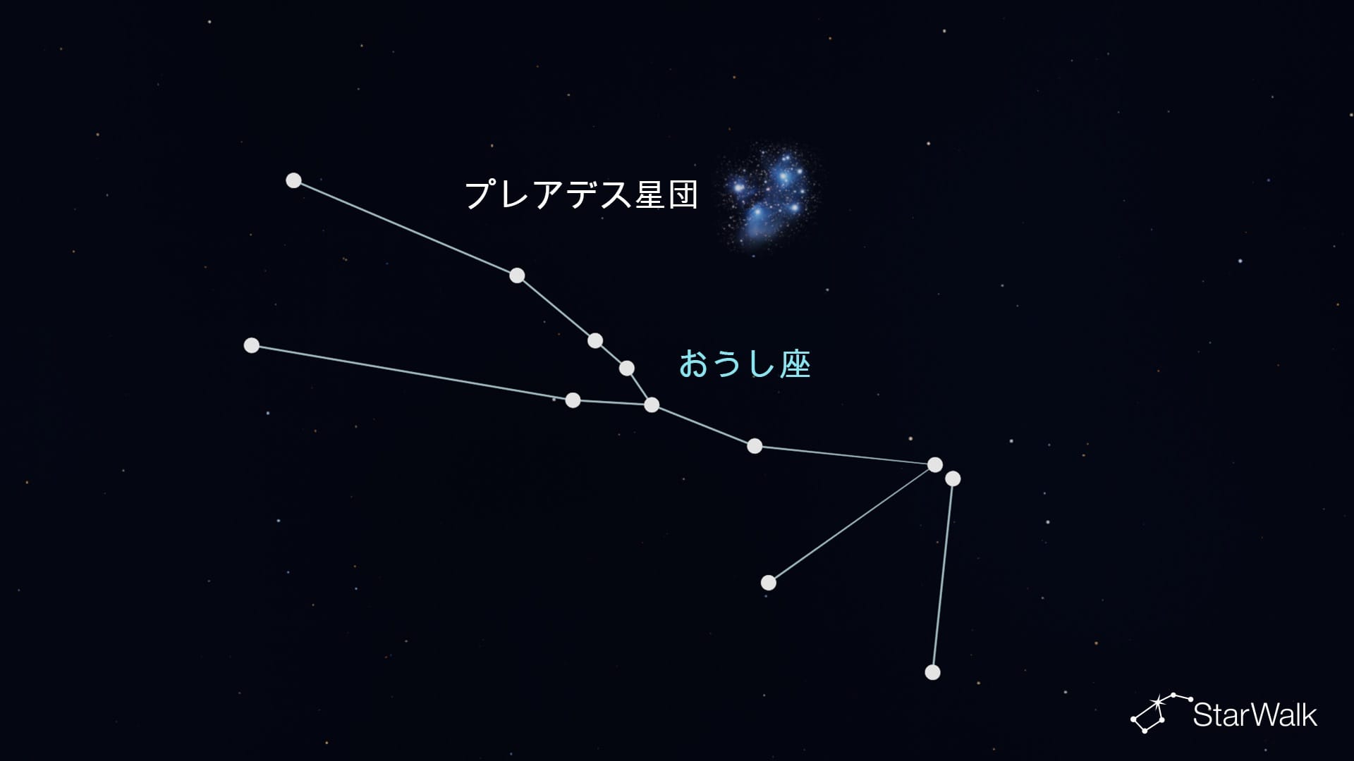 おうし座のプレアデス星団