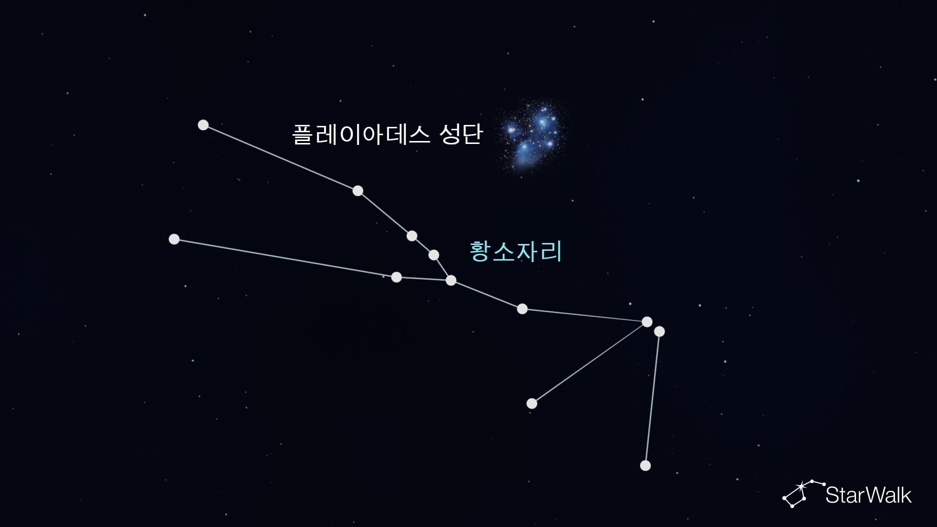 황소자리의 플레이아데스 성단