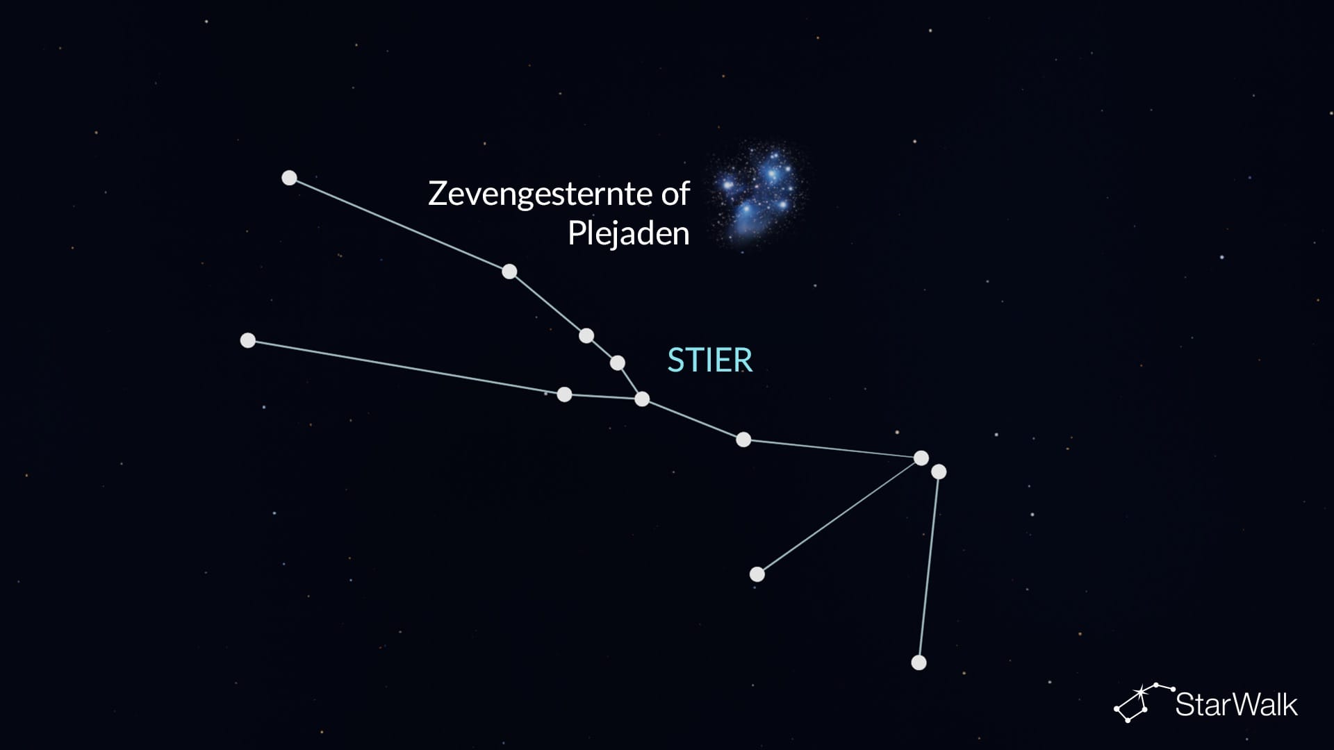 Plejaden in Stier