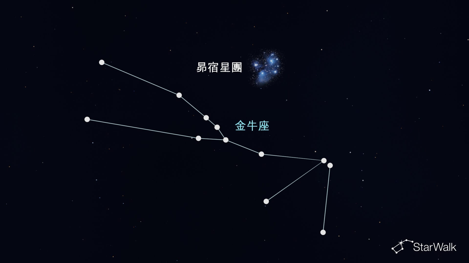 金牛座中的昴星團