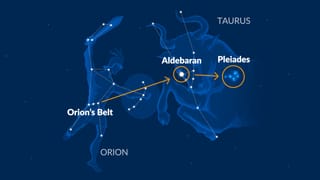 How to find Pleiades with Orion