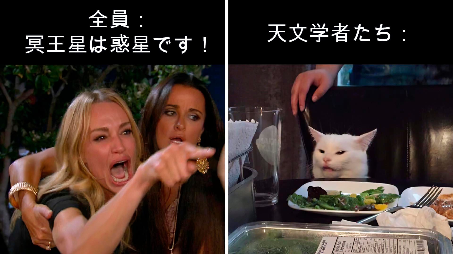 冥王星のミーム
