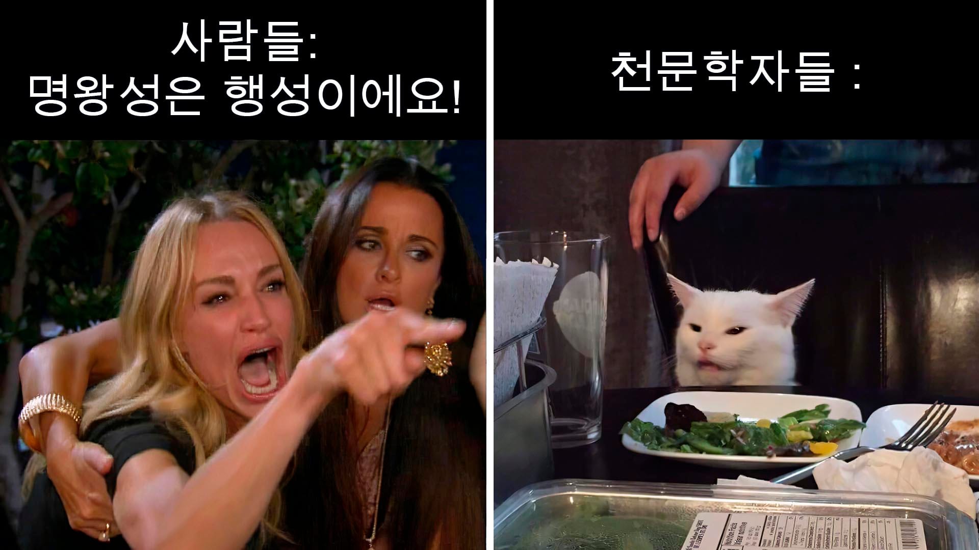명왕성 밈