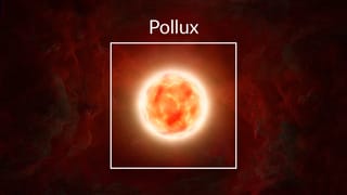 Pollux