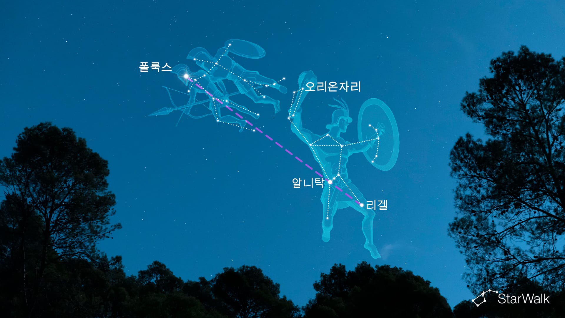 오리온으로 폴룩스 찾는 법