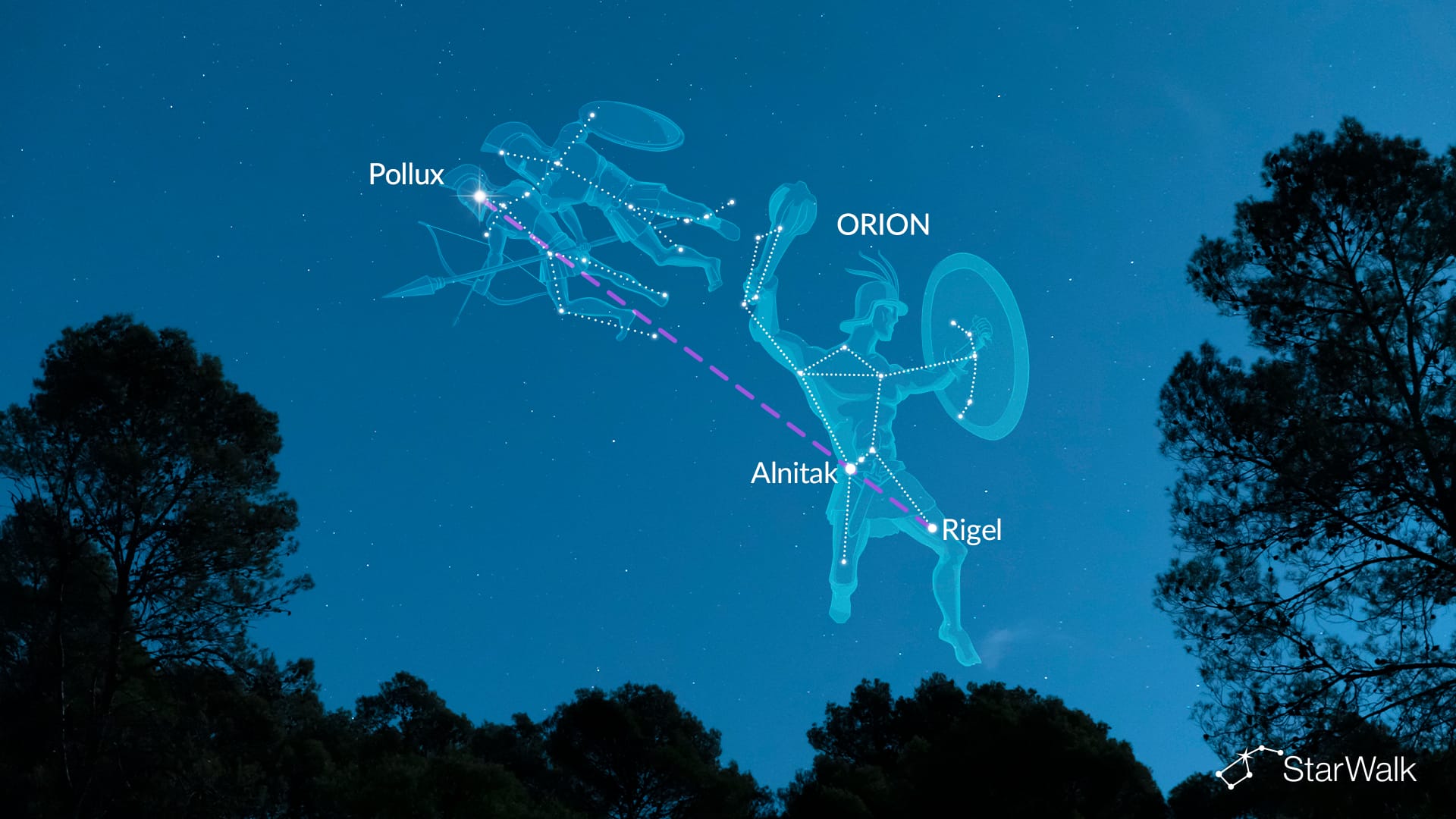 Hoe vind je Pollux met Orion?