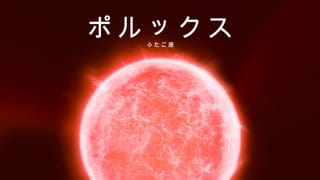 ポルックス