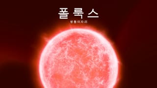 폴룩스