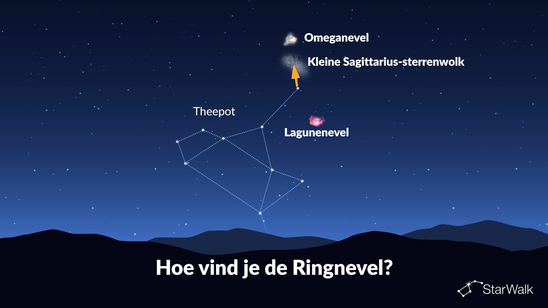 Hoe vind je de Ringnevel