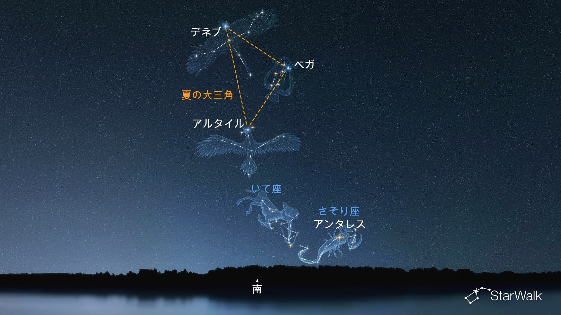 北半球でいて座を見つける方法