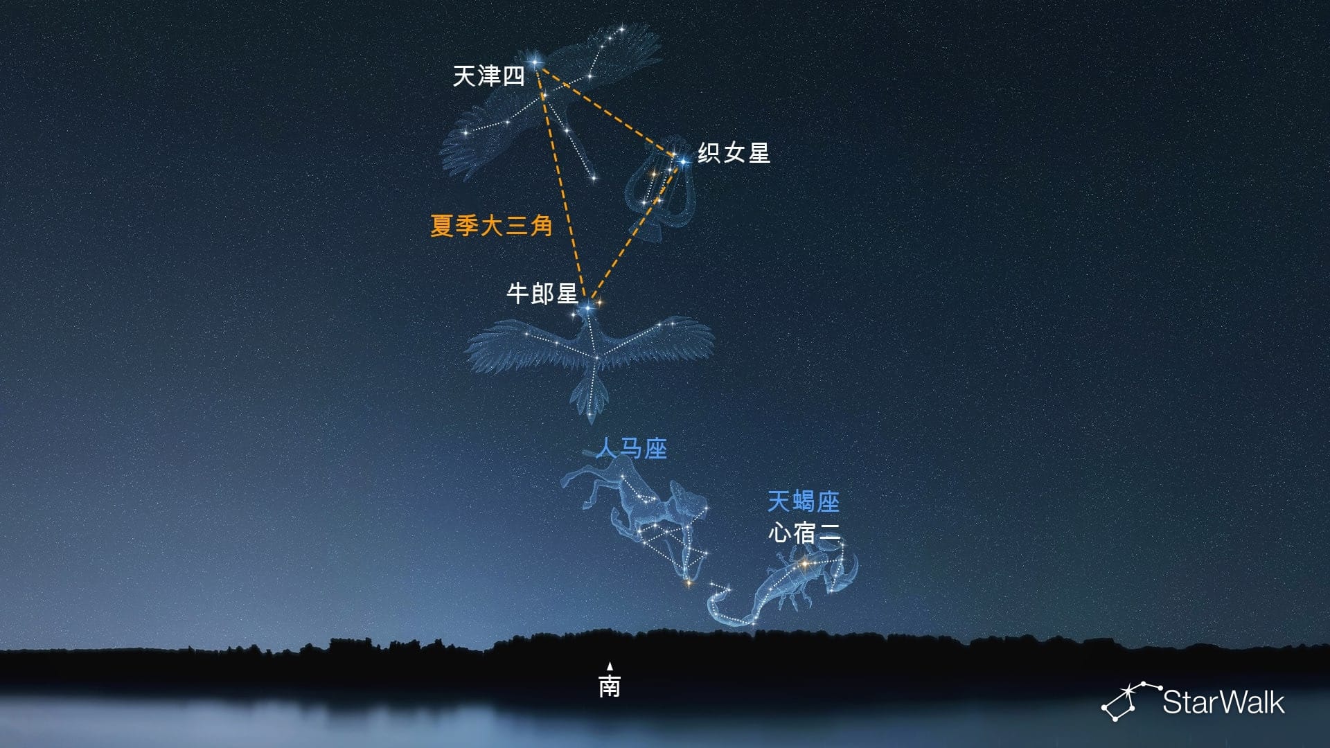 如何在北半球找到人马座