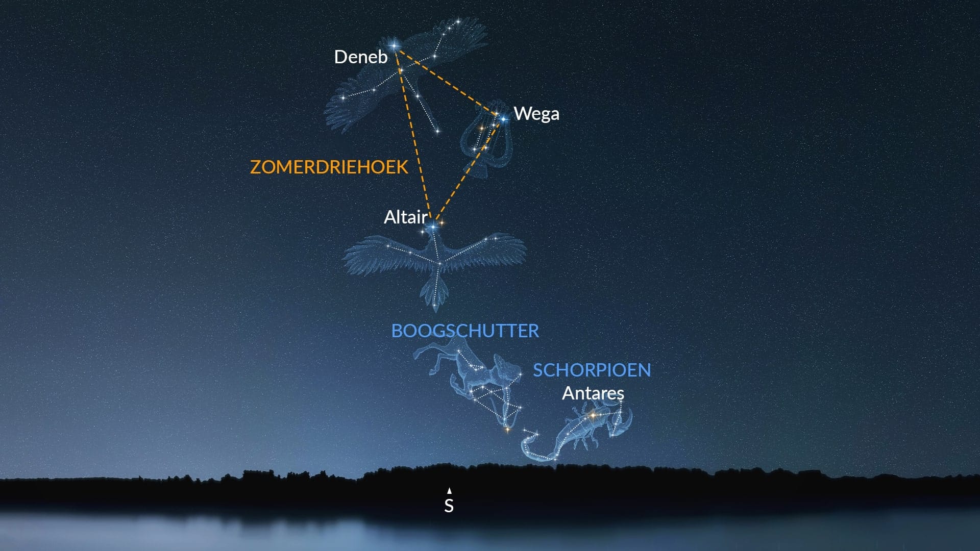 Sagittarius (Northern Hemisphere)