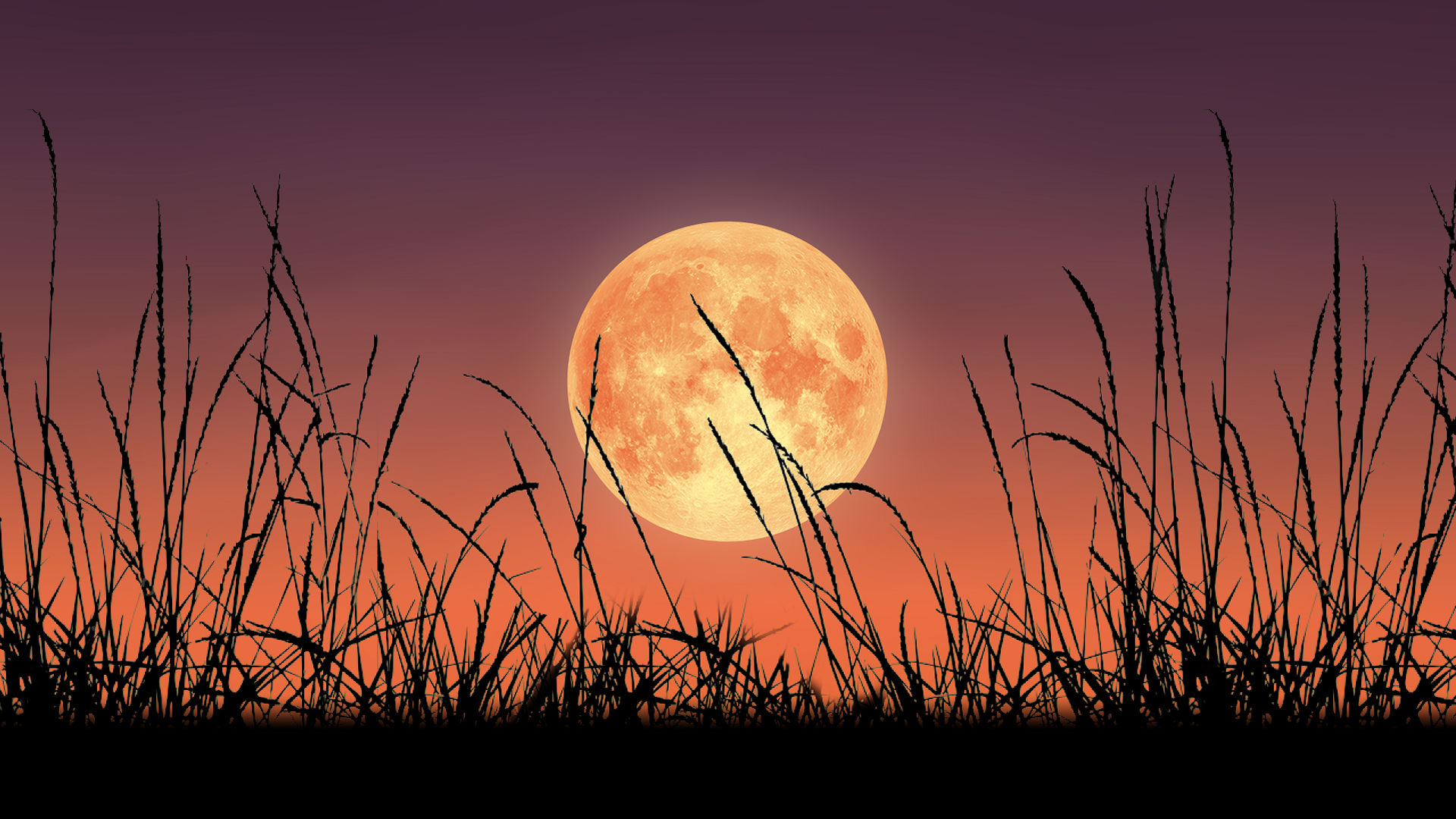 When Is The Full Harvest Moon 2024 Sile Yvonne