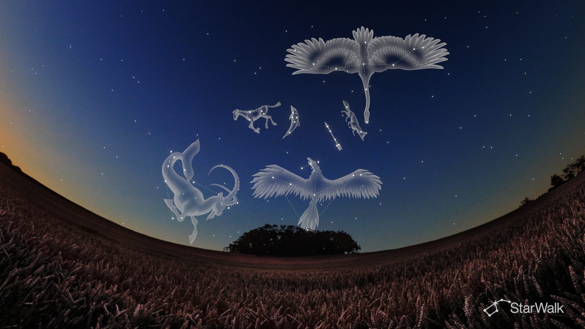 9月夜空:北半球星座