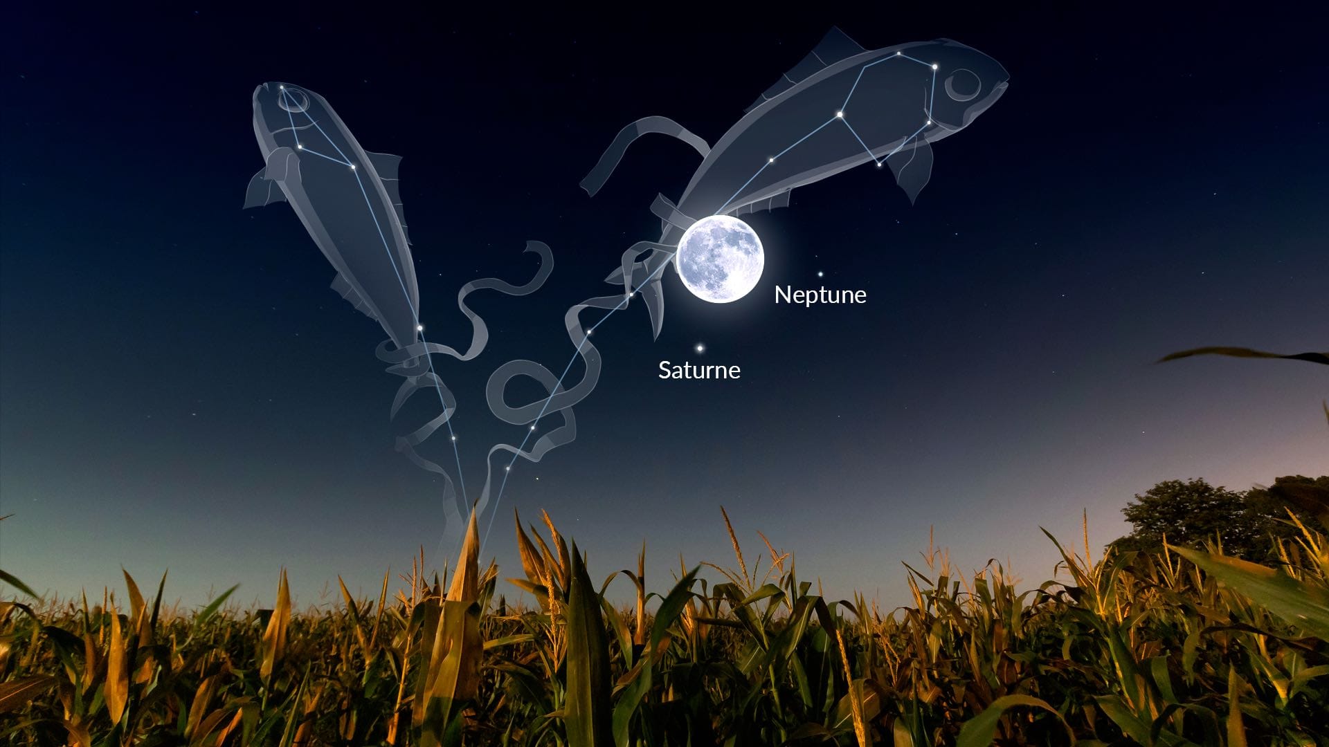 Événements astronomiques de septembre : Lune des Moissons dans les Poissons