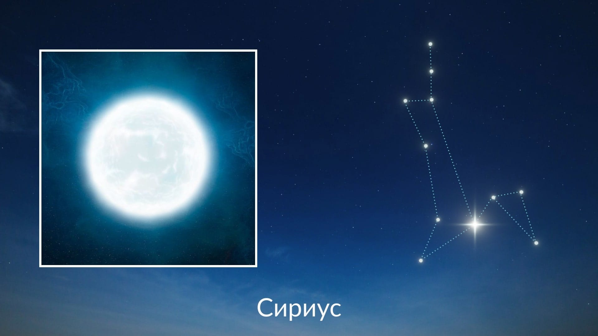 Самая яркая звезда на ночном небе | Звезда Сириус: созвездие, цвет | Star  Walk