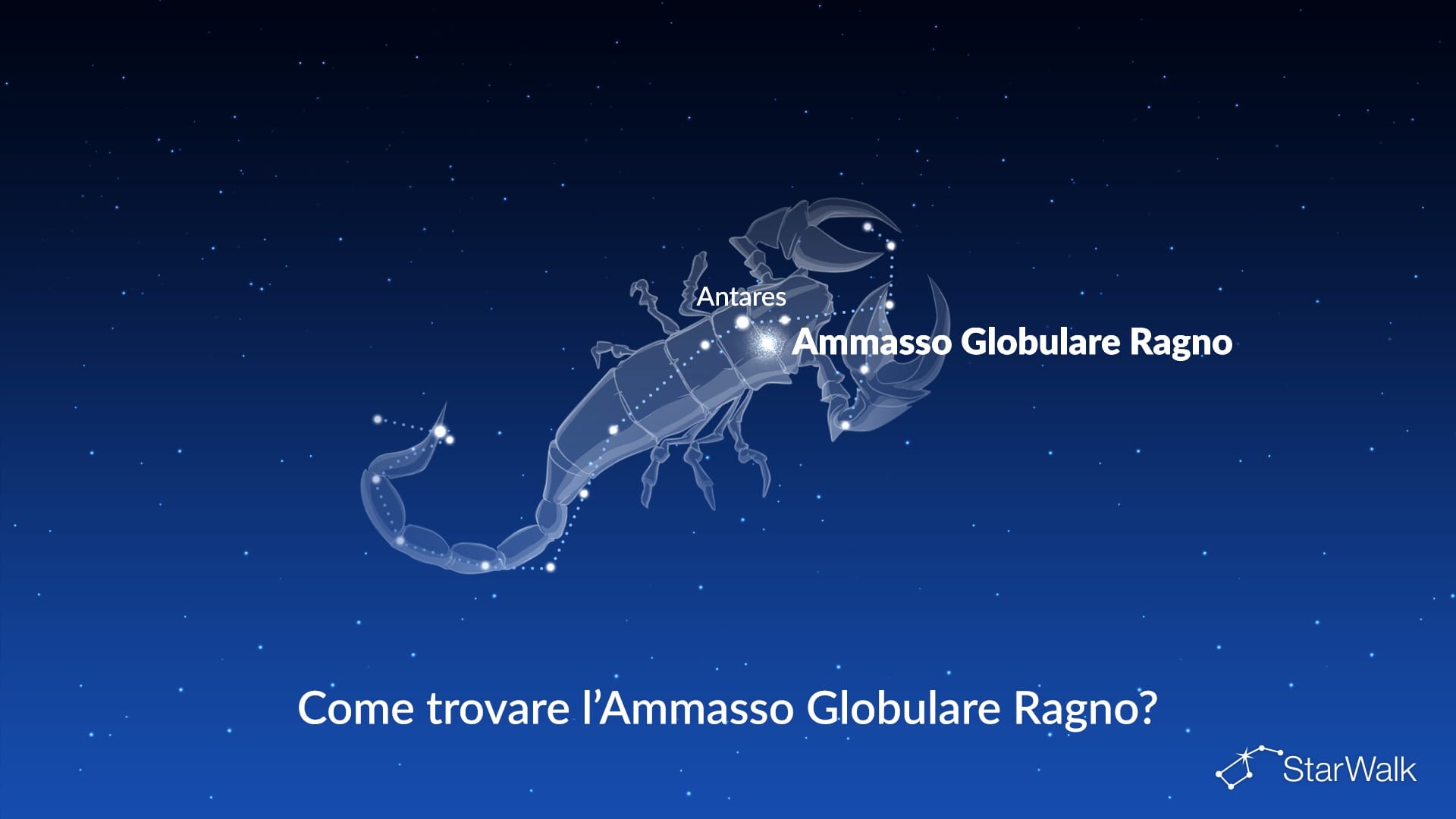 Ammasso Globulare Ragno — come trovarlo
