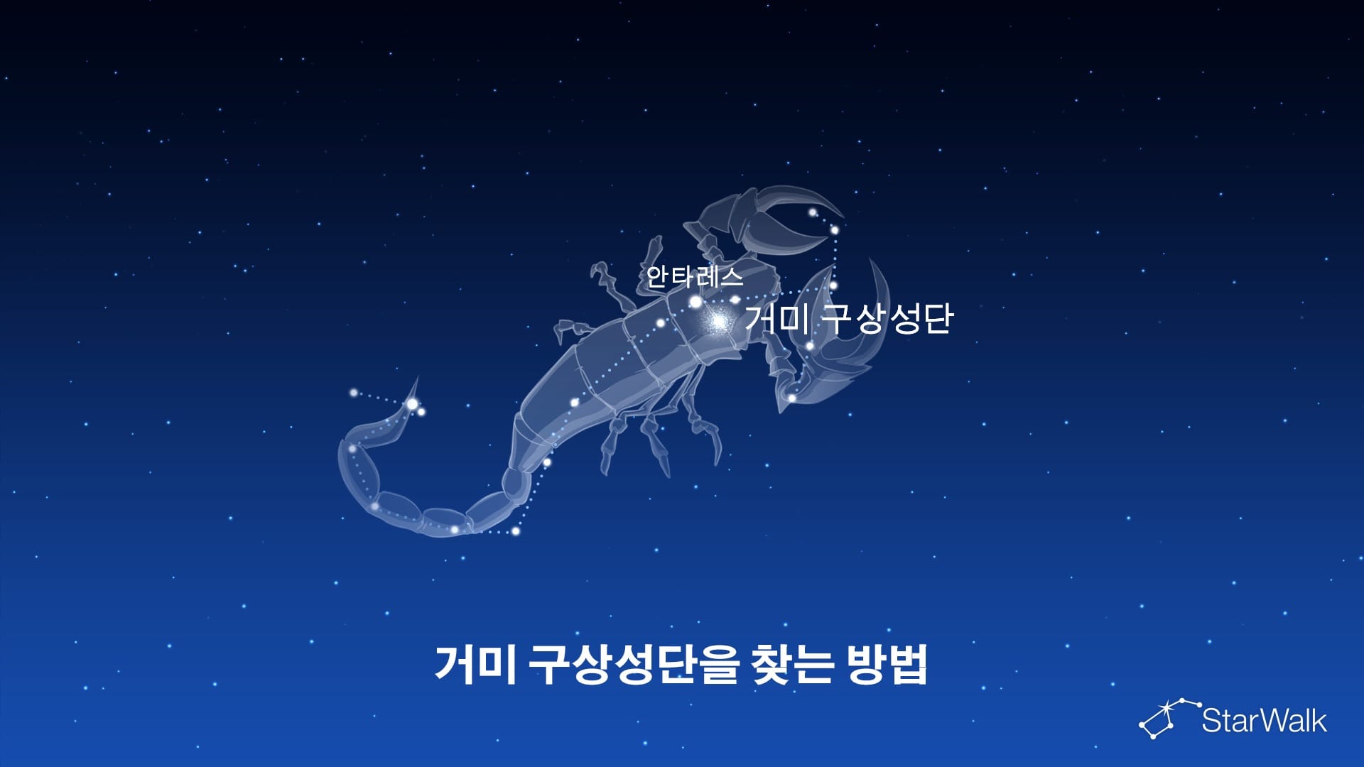 거미 구상성단 – 찾는 방법
