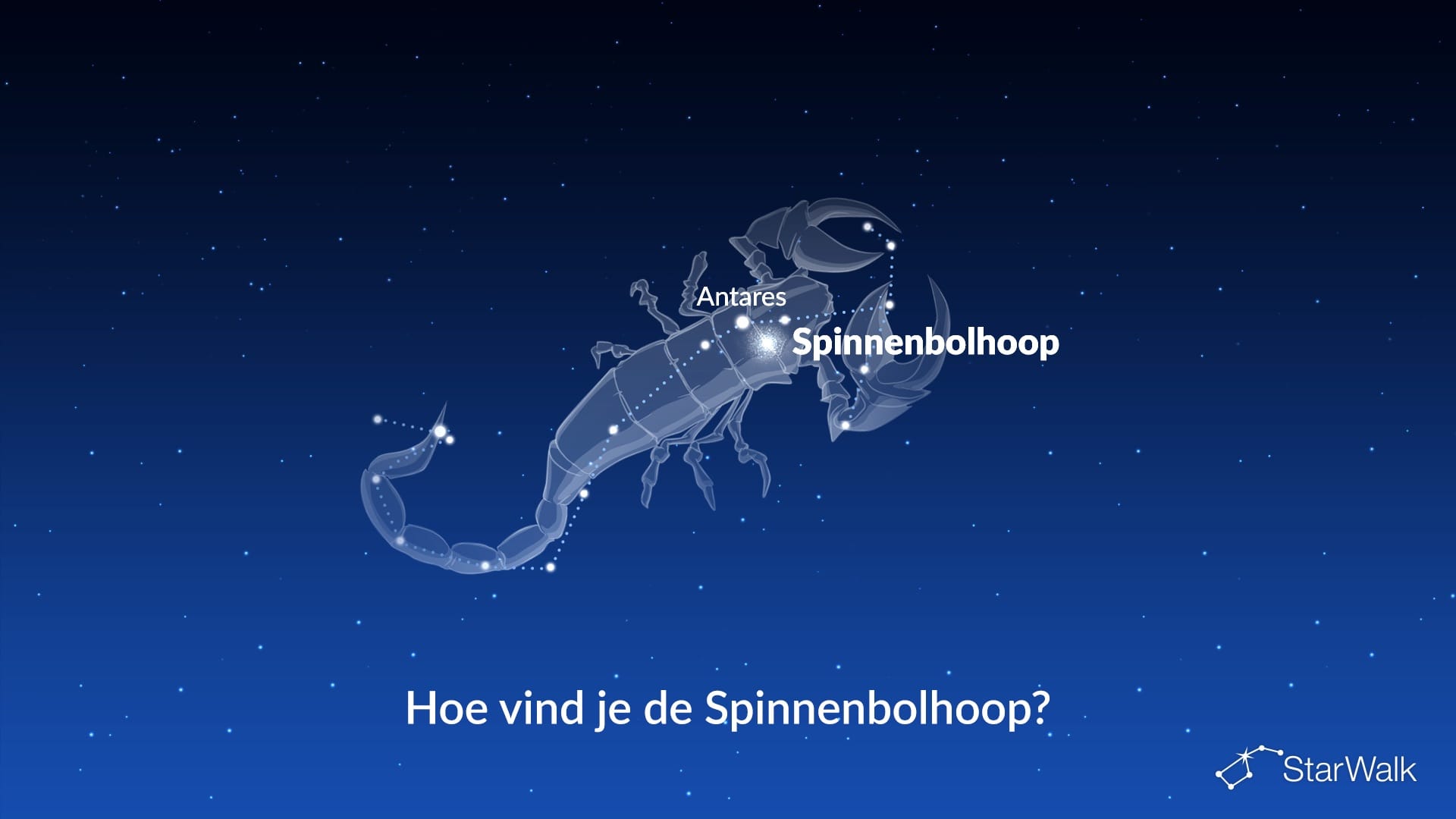 Spinnenbolhoop — zo vind je hem