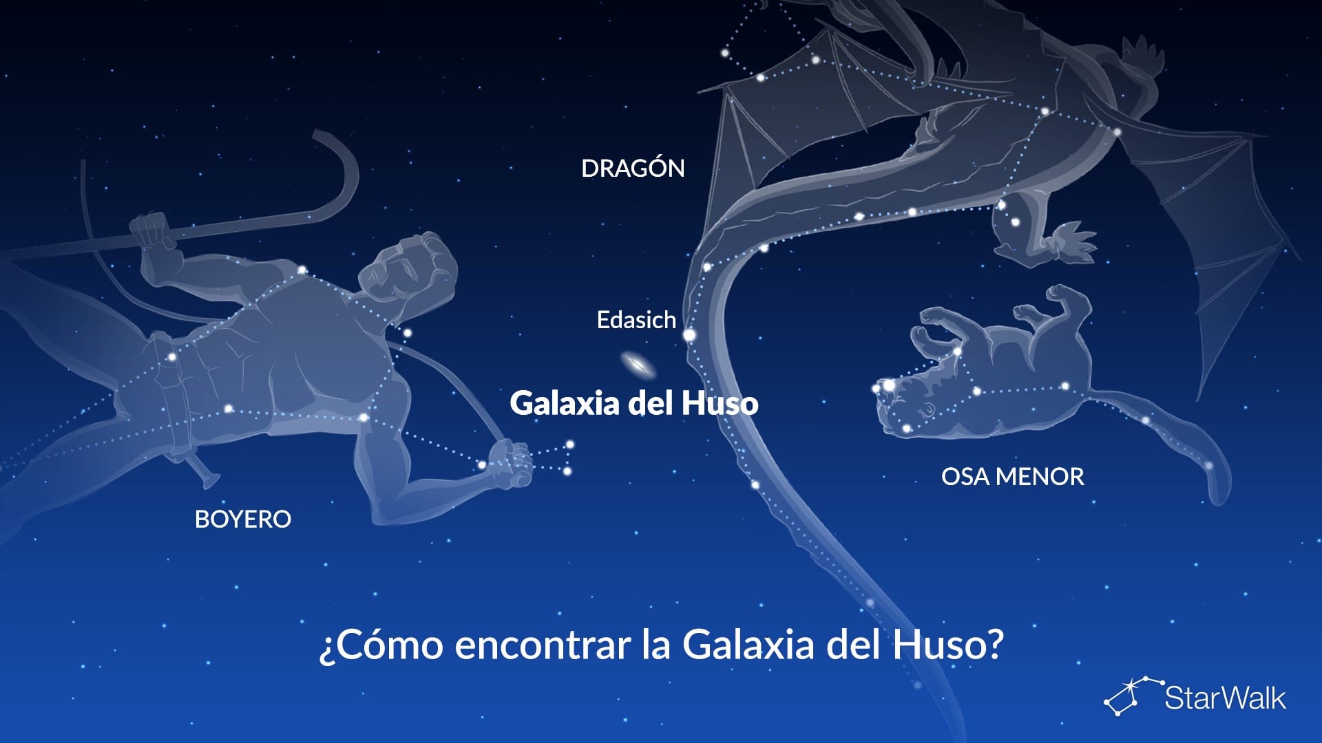 Galaxia del Huso: cómo encontrarla