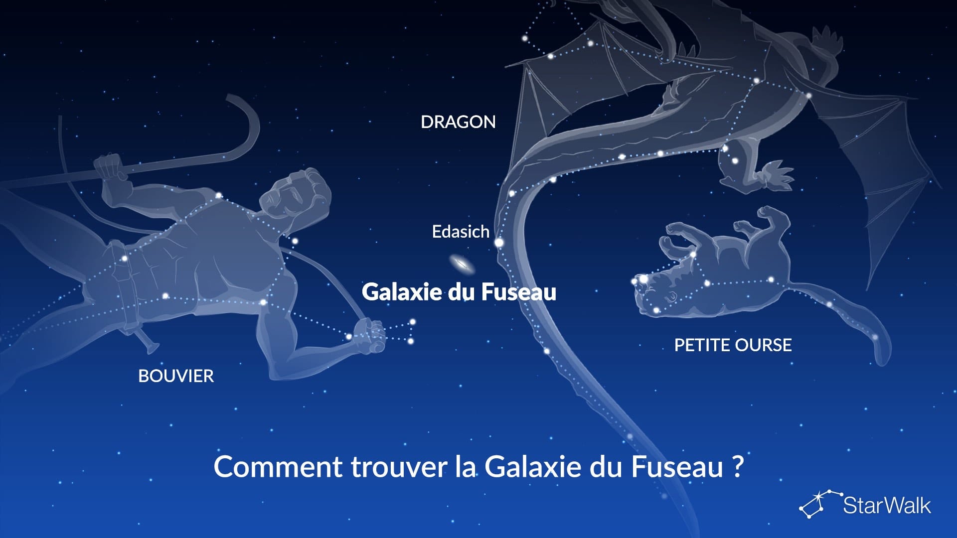 Galaxie du Fuseau — comment la trouver