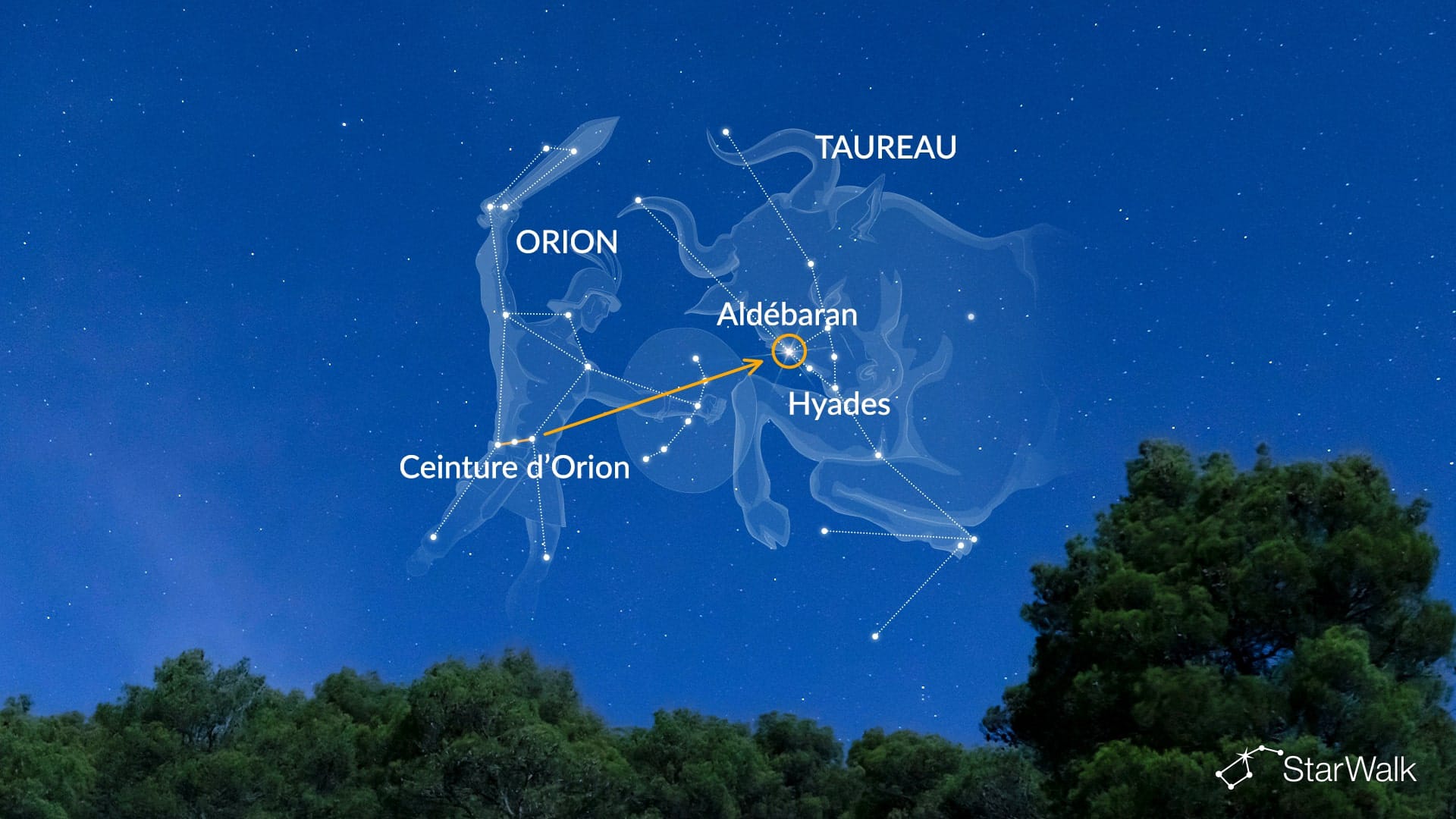 Comment trouver Aldébaran, l’étoile la plus brillante du Taureau, avec l’astérisme de la ceinture d’Orion