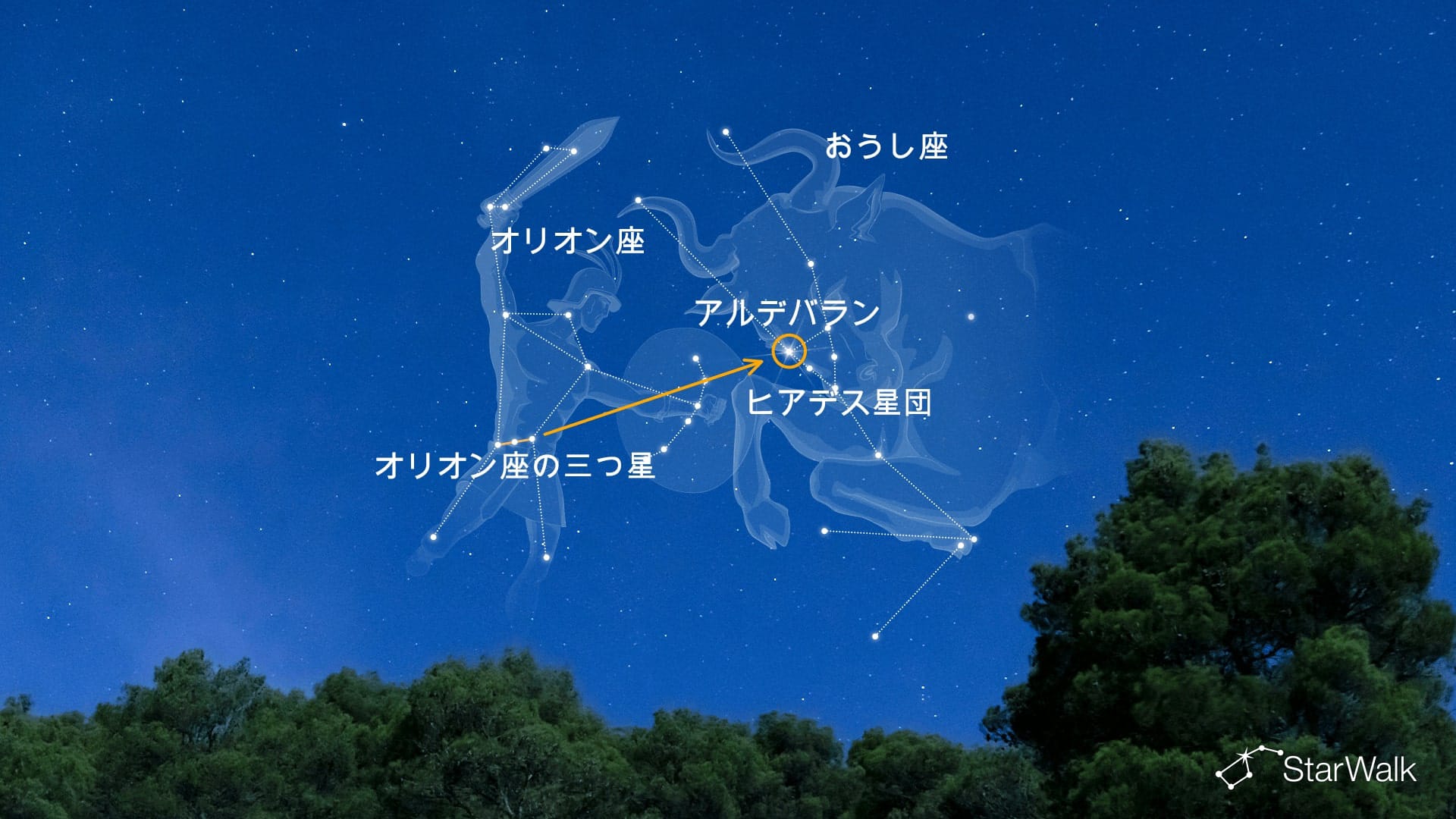 オリオン座の「三つ星」を使って、おうし座で最も明るい星アルデバランを見つける方法