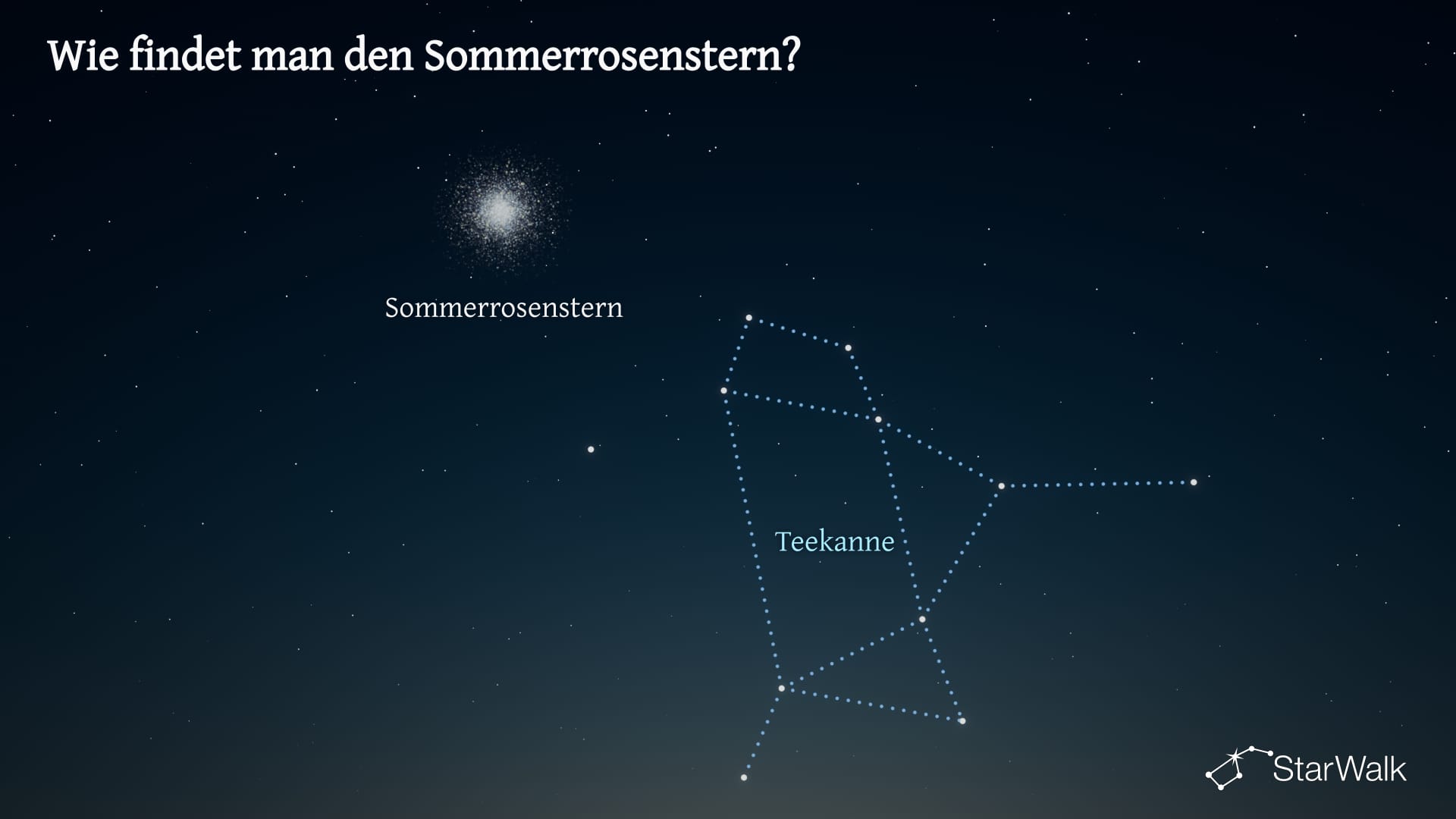 Der Sommerrosenstern – So finden Sie ihn