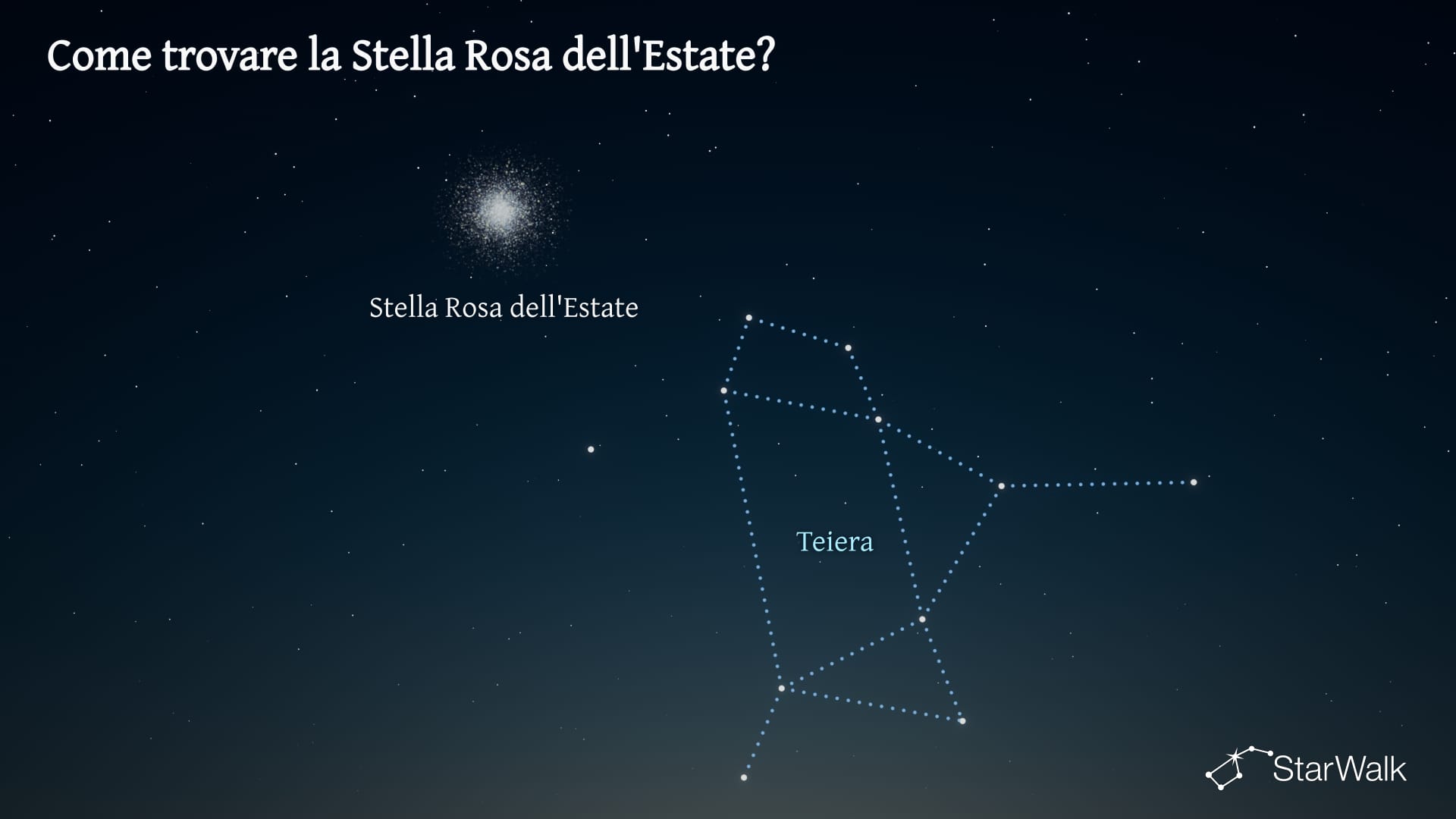 Stella Rosa d’Estate — Come trovarla